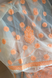 Arsh Handcrafted Organza Kurta and Dupatta set