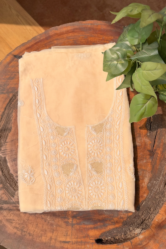 Arsh Handcrafted Pastel Mango Pure Organza Kurta and Dupatta set - arshchikan