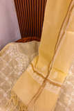 Arsh Handcrafted Tissue Chanderi Kurti and Dupatta Set