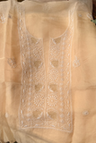 Arsh Handcrafted Pastel Mango Pure Organza Kurta and Dupatta set - arshchikan