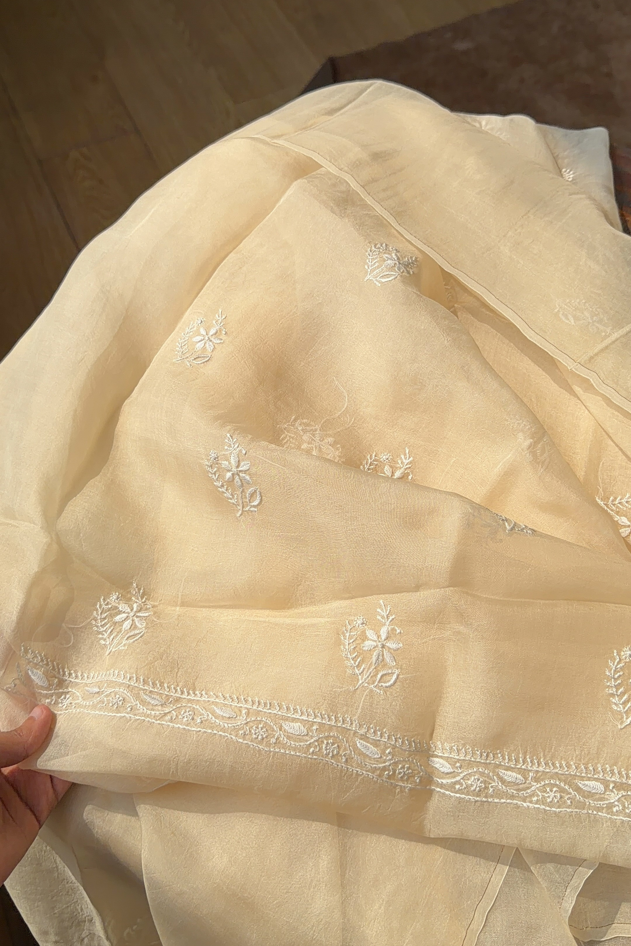 Arsh Handcrafted Pastel Mango Pure Organza Kurta and Dupatta set - arshchikan