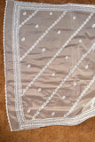 Arsh Handcrafted Pure Organza Chikankari Dupatta