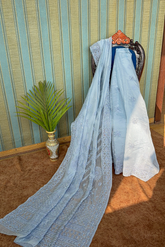 Arsh Handcrafted Organza Chikankari Fancy Saree - arshchikan