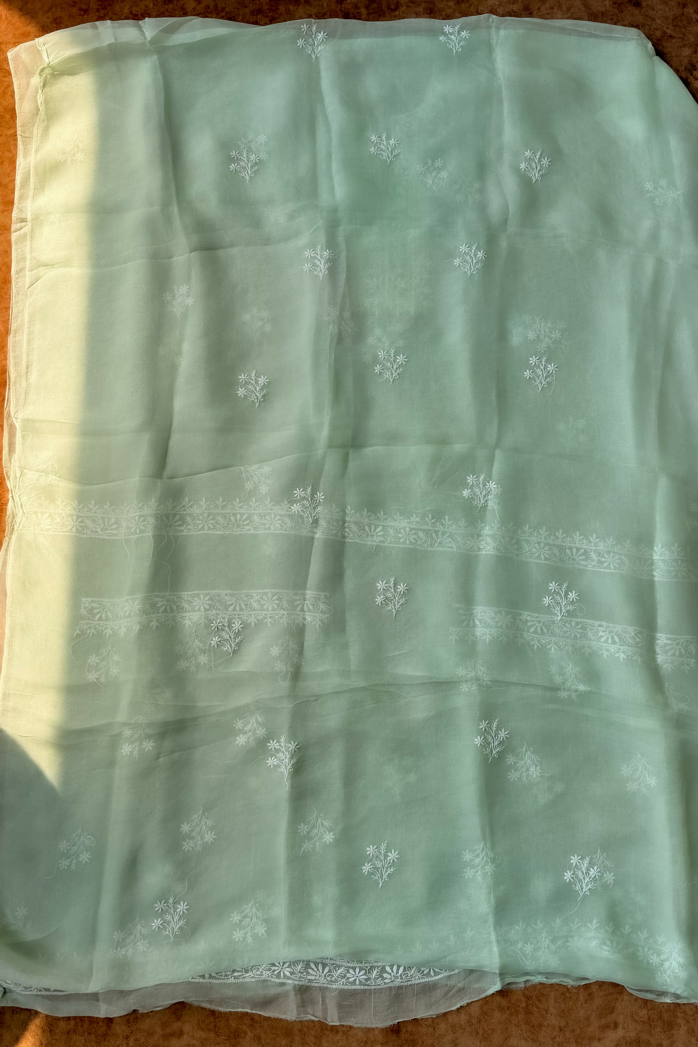 Arsh Handcrafted Mint Green Pure Organza Kurta and Dupatta set - arshchikan