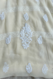 Arsh Handcrafted Beige Georgette Chikankari 3pc Suit Set