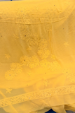Arsh Handcrafted Pure Viscose Georgette Unstitched Chikankari Kurti And Dupatta Set