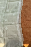 Arsh Handcrafted Mint Green Pure Organza Kurta and Dupatta set - arshchikan
