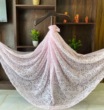 Arsh Handcrafted Semi Georgette Chikankari Light Pink Dupatta