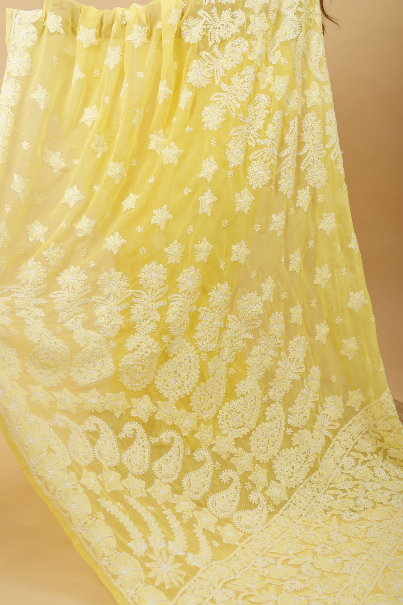 Arsh Handcrafted Semi Georgette Heavy Palla Chikan Embroidered Saree - arshchikan