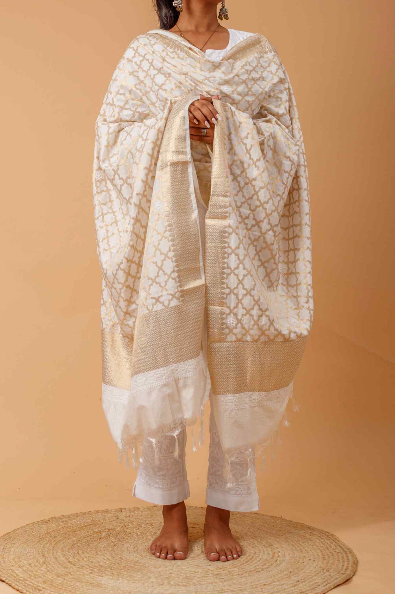 Arsh Handcrafted Chikankari on Banarasi Dupatta - arshchikan