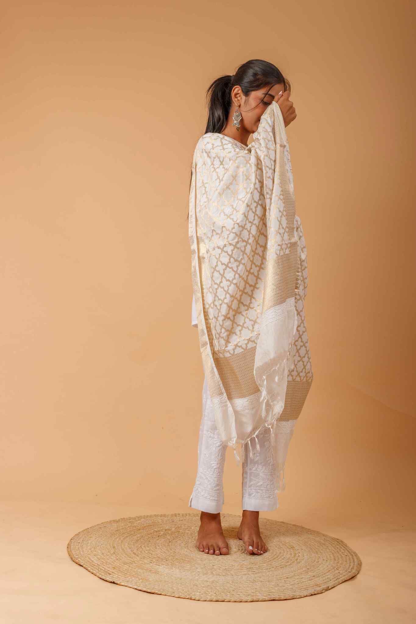 Arsh Handcrafted Chikankari on Banarasi Dupatta - arshchikan