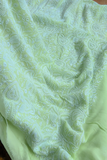 Arsh Handcrafted Light Green Pure Georgette Unstitched Chikankari 3pc Suit