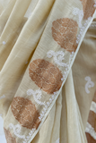 Arsh Handcrafted Boota Skirt Jaal Chikankari Pure Tissue Saree