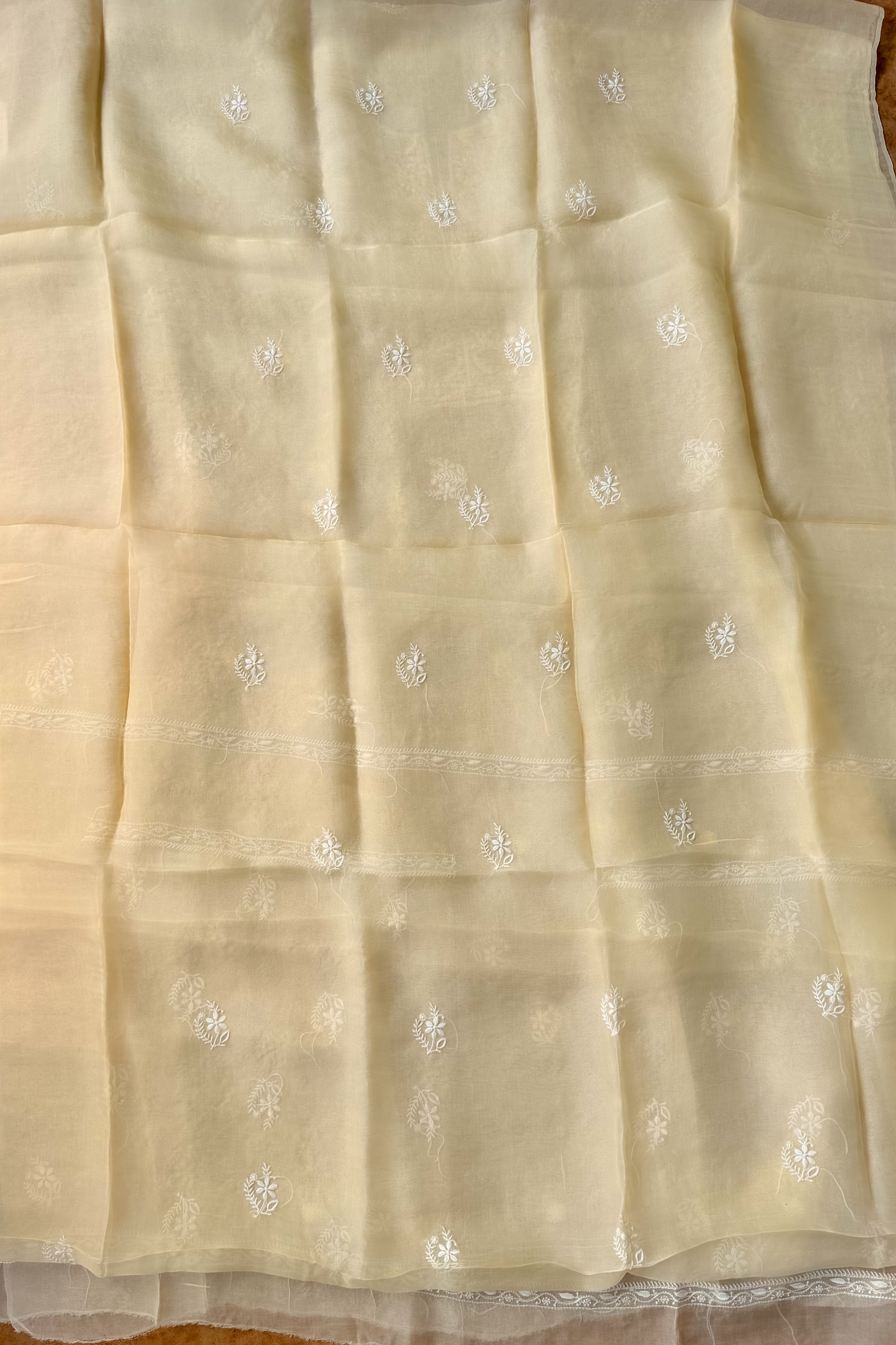 Arsh Handcrafted Pastel Mango Pure Organza Kurta and Dupatta set - arshchikan