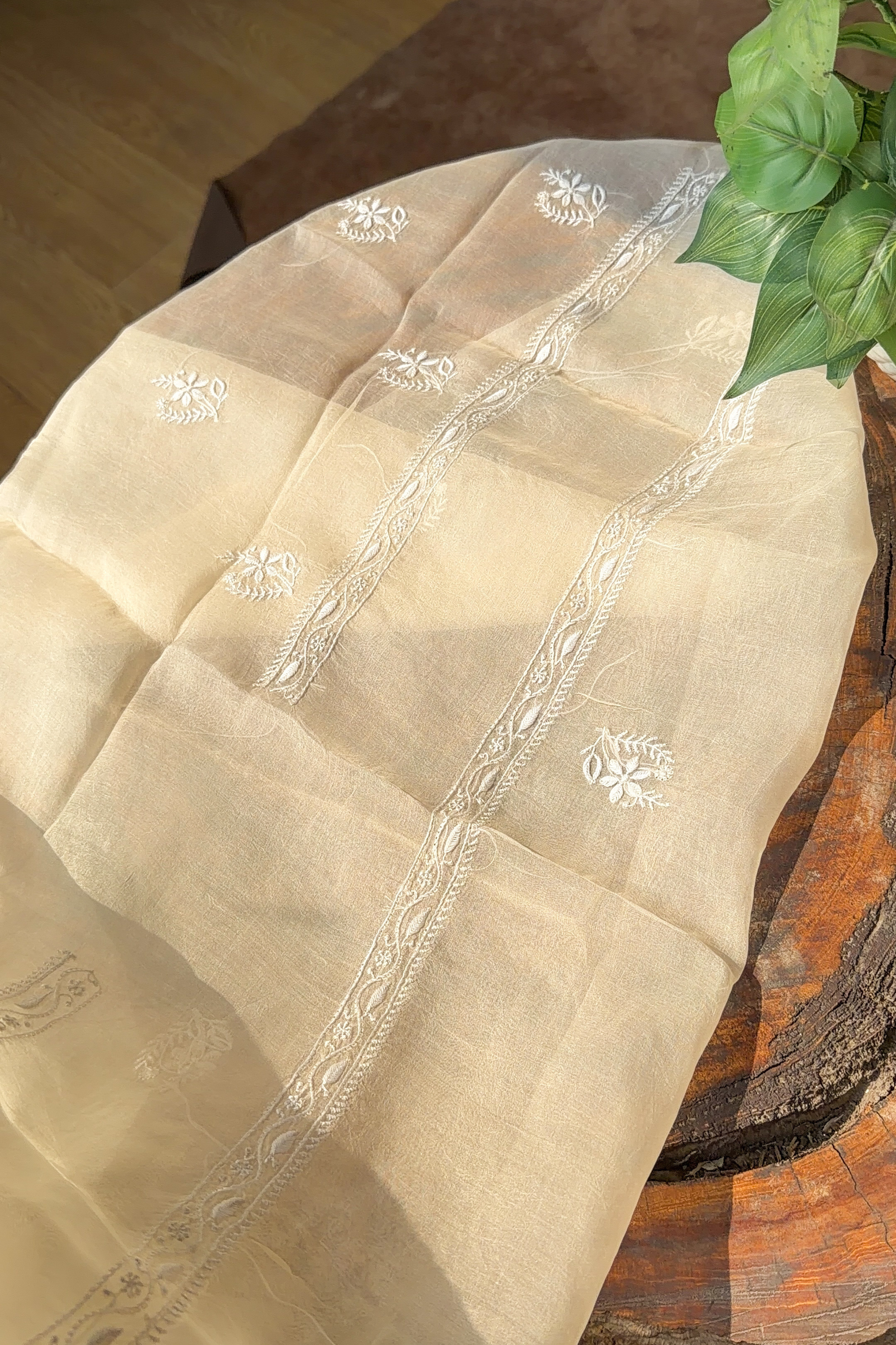 Arsh Handcrafted Pastel Mango Pure Organza Kurta and Dupatta set - arshchikan