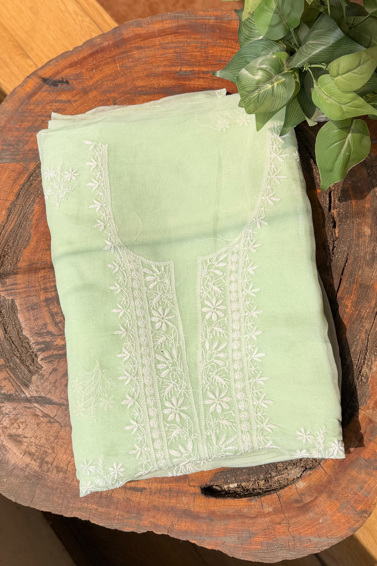 Arsh Handcrafted Mint Green Pure Organza Kurta and Dupatta set - arshchikan