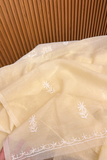 Arsh Handmade Pure Mul Chanderi Kurta and Dupatta set