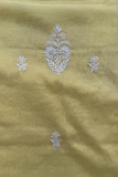 Arsh Hand Embroidered Mul Chanderi Yellow Chikankari 3pc Suit Set