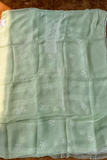 Arsh Handcrafted Mint Green Pure Organza Kurta and Dupatta set - arshchikan