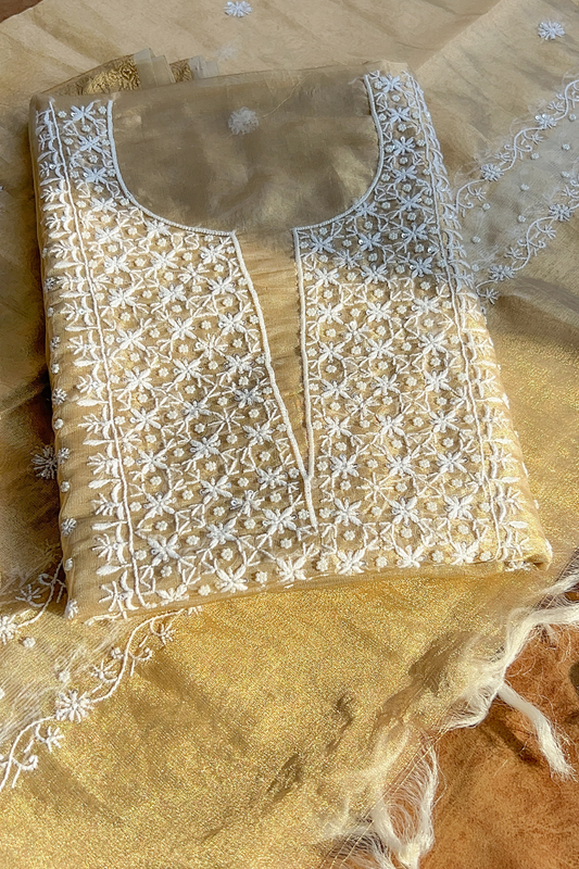 Arsh Handcrafted Pure Tissue Organza Kurti and Dupatta set.