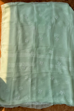 Arsh Handcrafted Mint Green Pure Organza Kurta and Dupatta set - arshchikan