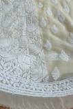 Arsh Handcrafted Beige Georgette Chikankari 3pc Suit Set