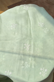 Arsh Handcrafted Mint Green Pure Organza Kurta and Dupatta set - arshchikan