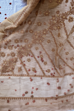 Arsh Hand Embroidered Banarasi Tissue Chikan Saree