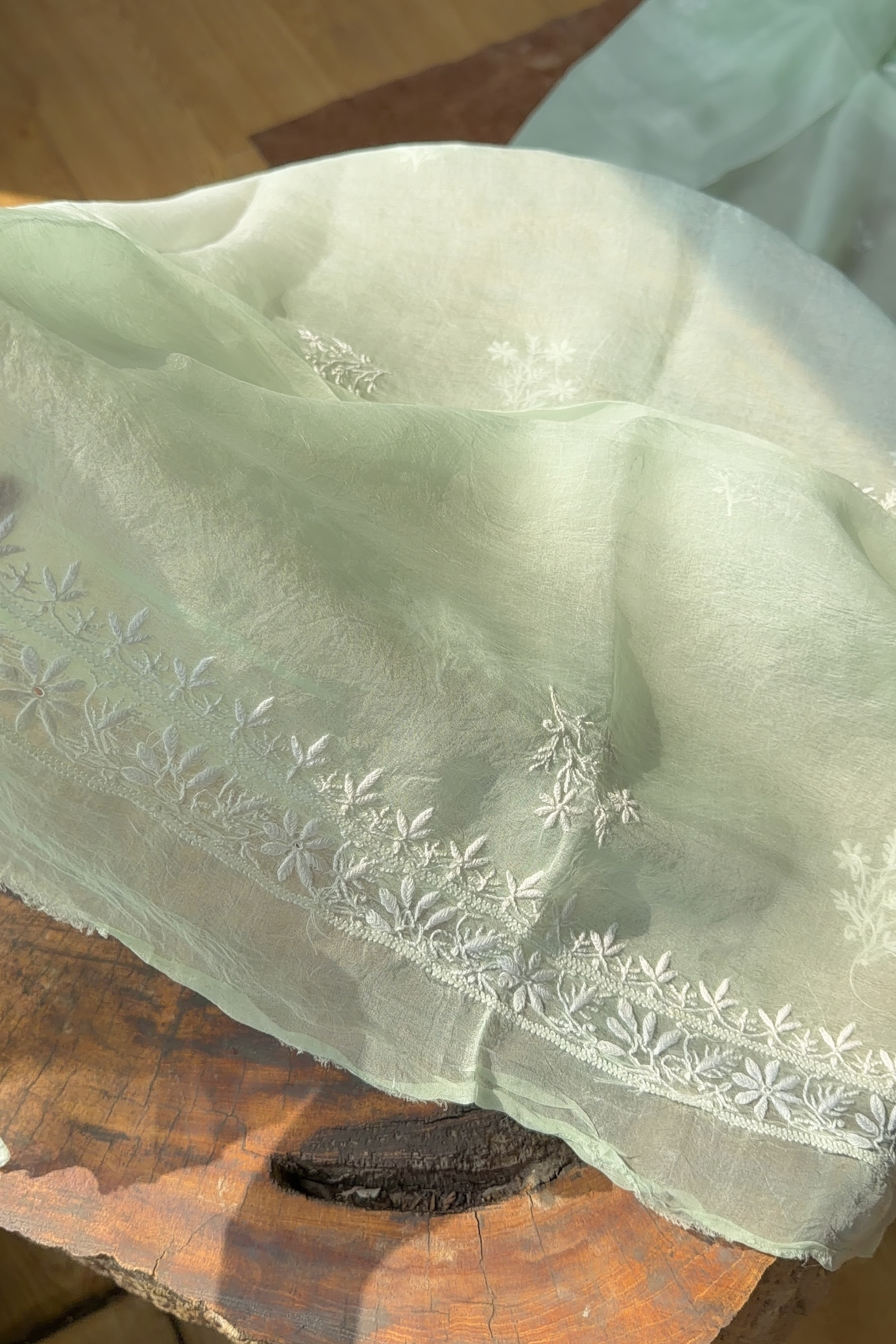 Arsh Handcrafted Mint Green Pure Organza Kurta and Dupatta set - arshchikan