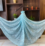 Arsh Handcrafted Semi Georgette Chikankari Sky Blue Dupatta