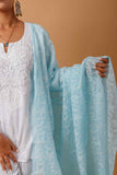 Arsh Handcrafted Chikankari Pure Cotton All Over Tepchi Dupatta