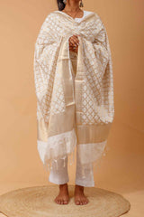 Arsh Handcrafted Chikankari on Banarasi Dupatta