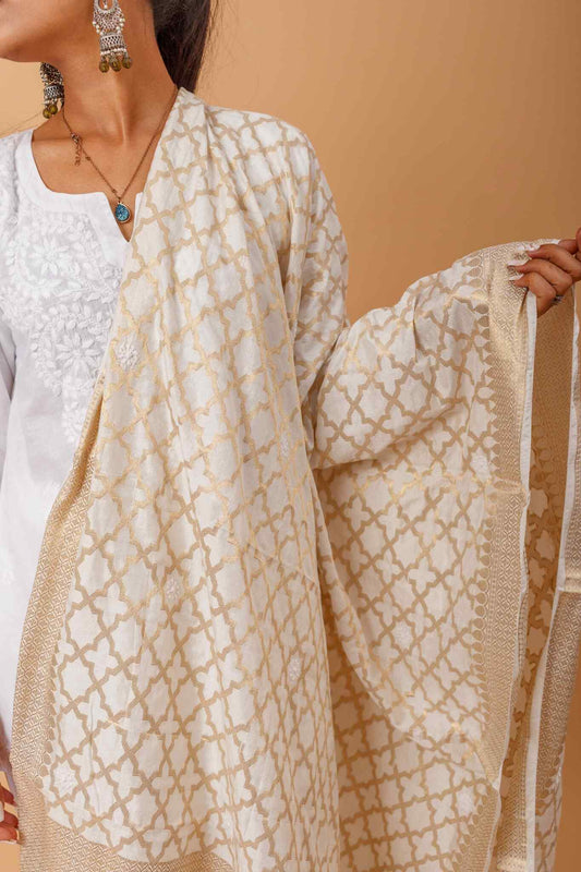 Arsh Handcrafted Chikankari on Banarasi Dupatta